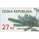 1199 - Jedle korejsk&aacute;, odrůda Blue Emperor﻿