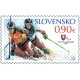 0557 - XI. zimní paralympijské hry v Soči