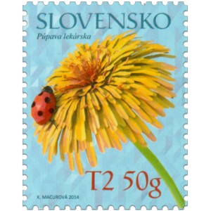0566 - L&eacute;čiv&eacute; rostliny