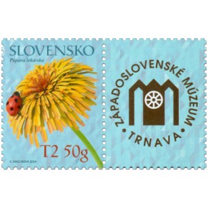 0566 KP - L&eacute;čiv&eacute; rostliny