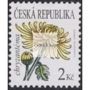 0684 - Kr&aacute;sa květů - chryzant&eacute;ma
