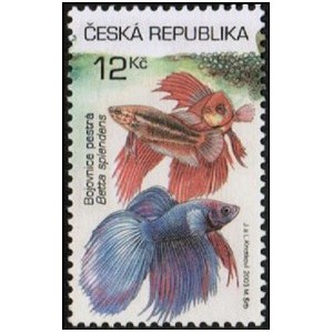 0365-0368 (s&eacute;rie) - Akvarijn&iacute; rybičky