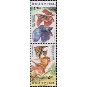 0365-0366 (spojka) - Akvarijn&iacute; rybičky