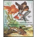 0367 KD - Akvarijn&iacute; rybičky: Z&aacute;vojnatka č&iacute;nsk&aacute;