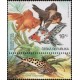 0367 KD - Akvarijn&iacute; rybičky: Z&aacute;vojnatka č&iacute;nsk&aacute;