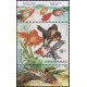0367 KH+KD - Akvarijn&iacute; rybičky: Z&aacute;vojnatka č&iacute;nsk&aacute;