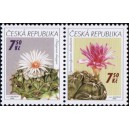 0485-0484 (2blok) - Pěstitelstv&iacute; - kaktusy