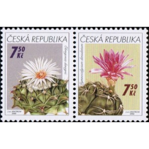 0485-0484 (2blok) - Pěstitelstv&iacute; - kaktusy
