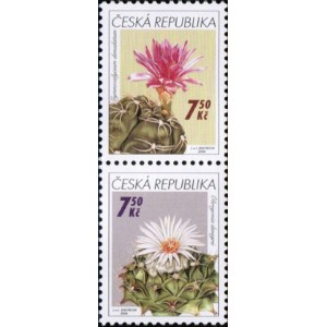 0484-0485 (2blok) - Pěstitelstv&iacute; - kaktusy