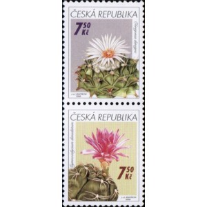 0485-0484 (2blok) - Pěstitelstv&iacute; - kaktusy