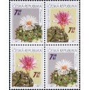0485-0484 (4blok) - Pěstitelstv&iacute; - kaktusy