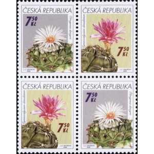 0485-0484 (4blok) - Pěstitelstv&iacute; - kaktusy