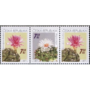 0484-0485 (3blok) - Pěstitelstv&iacute; - kaktusy