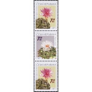 0484-0485 (3blok) - Pěstitelstv&iacute; - kaktusy