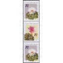 0485-0484 (3blok) - Pěstitelstv&iacute; - kaktusy