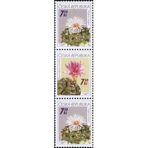0485-0484 (3blok) - Pěstitelstv&iacute; - kaktusy