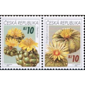 0487-0486 (2blok) - Pěstitelstv&iacute; - kaktusy