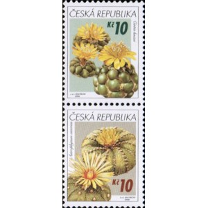0487-0486 (2blok) - Pěstitelstv&iacute; - kaktusy