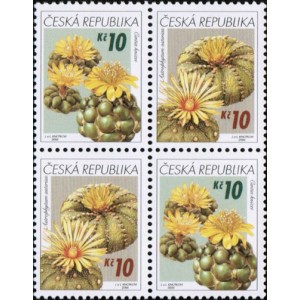 0487-0486 (4blok) - Pěstitelstv&iacute; - kaktusy
