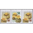 0486-0487 (3blok) - Pěstitelstv&iacute; - kaktusy
