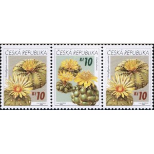 0486-0487 (3blok) - Pěstitelstv&iacute; - kaktusy