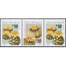 0487-0486 (3blok) - Pěstitelstv&iacute; - kaktusy