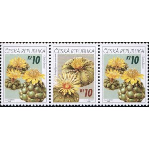 0487-0486 (3blok) - Pěstitelstv&iacute; - kaktusy
