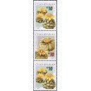 0487-0486 (3blok) - Pěstitelstv&iacute; - kaktusy