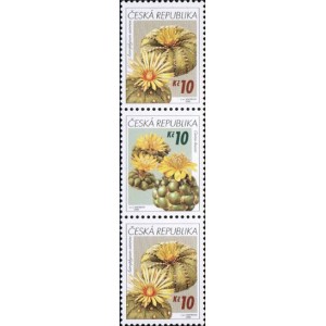 0486-0487 (3blok) - Pěstitelstv&iacute; - kaktusy