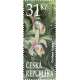 1308 - Cattleya forbesi