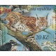 0694 - Rys ostrovid a Datlík tříprstý