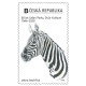 VZ2118 - Zebra bezhřívá