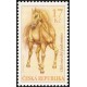 Kůň - Chlumecký palomino
