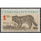 2956 - Kočka divoká