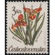 2932 - Tygřice obecná