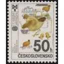 2804 - Asun Bolzano