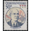 2593 - Ivan Stěpanovič Koněv