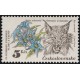 2591 - Hořec tolitovitý, rys ostrovid