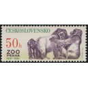 2507 - skupina goril