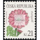 0550 - Krása květů - gerbera