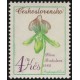 2448 - Paphiopedilum