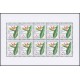 2447 PL - Strelitzia regiane