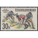 2307 - 70 let pozemního hokeje
