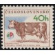2213 - Kráva bernsko-hanáckého plemene