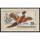 1902 - Bažant obecný