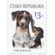0875 - Štěňata – česká národní plemena psů: Český strakatý pes