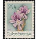 1630 - Miltonia spectabilis Lindl