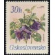 1631 - Vilec šplhavý