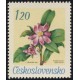 1635 - Rhodocactus bleo Knuth