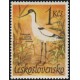 1591 - Tenkozobec obecný